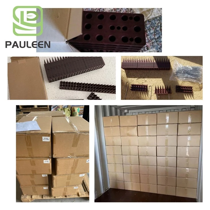 Plastic Bird Spikes Anti Pigeon high quality Plastic Bird Spikes Anti Pigeon high quality